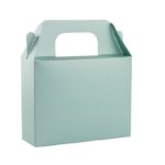 ΚΟΥΤΙ ΚΤ24 – TS10052 SHINY ACQUA (ΠΕΡΛΕ)