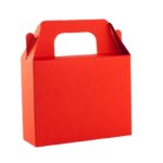 ΚΟΥΤΙ ΚΤ24 – TS10061 ΣΚΑΡΛΑΤΟ