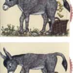 Ζωντανή κάρτα "Tο γαϊδουράκι με τα χρυσά νομίσματα" BÄRENPRESSE & CURIOSI