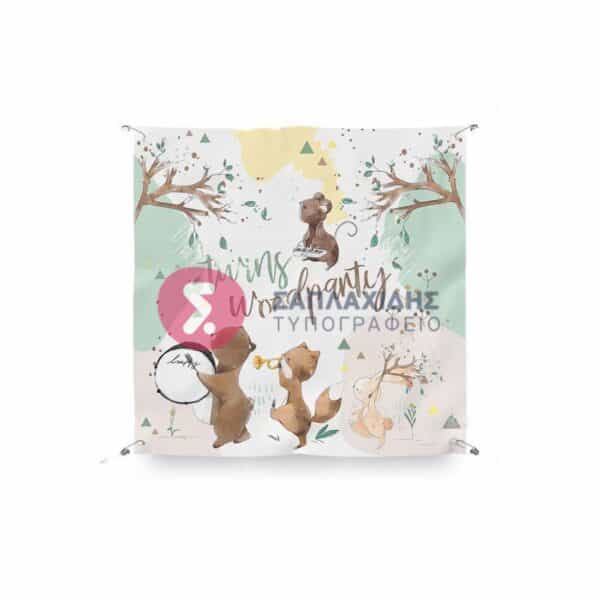 BACKDROP- TS288