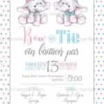 Προσκλητήριο Bάπτισης "Ελεφαντάκια" για δίδυμα